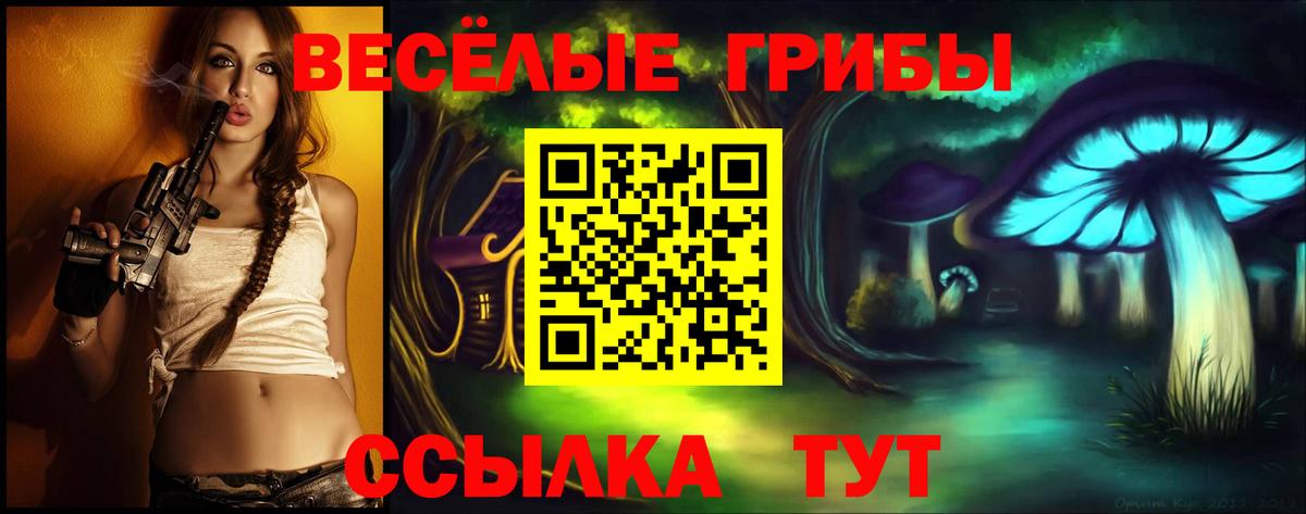 Шатура  Галлюциногенные грибы Psilocybine cubensis  Вход с VPN 